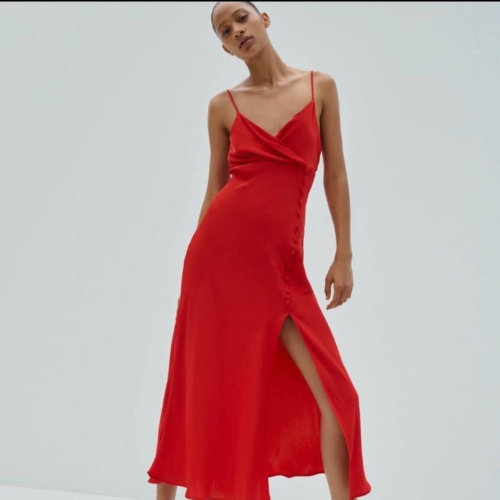 Zara Buttoned Silk Dress